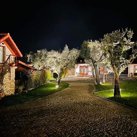 Penedo Village Marco de Canavezes Εξωτερικό φωτογραφία