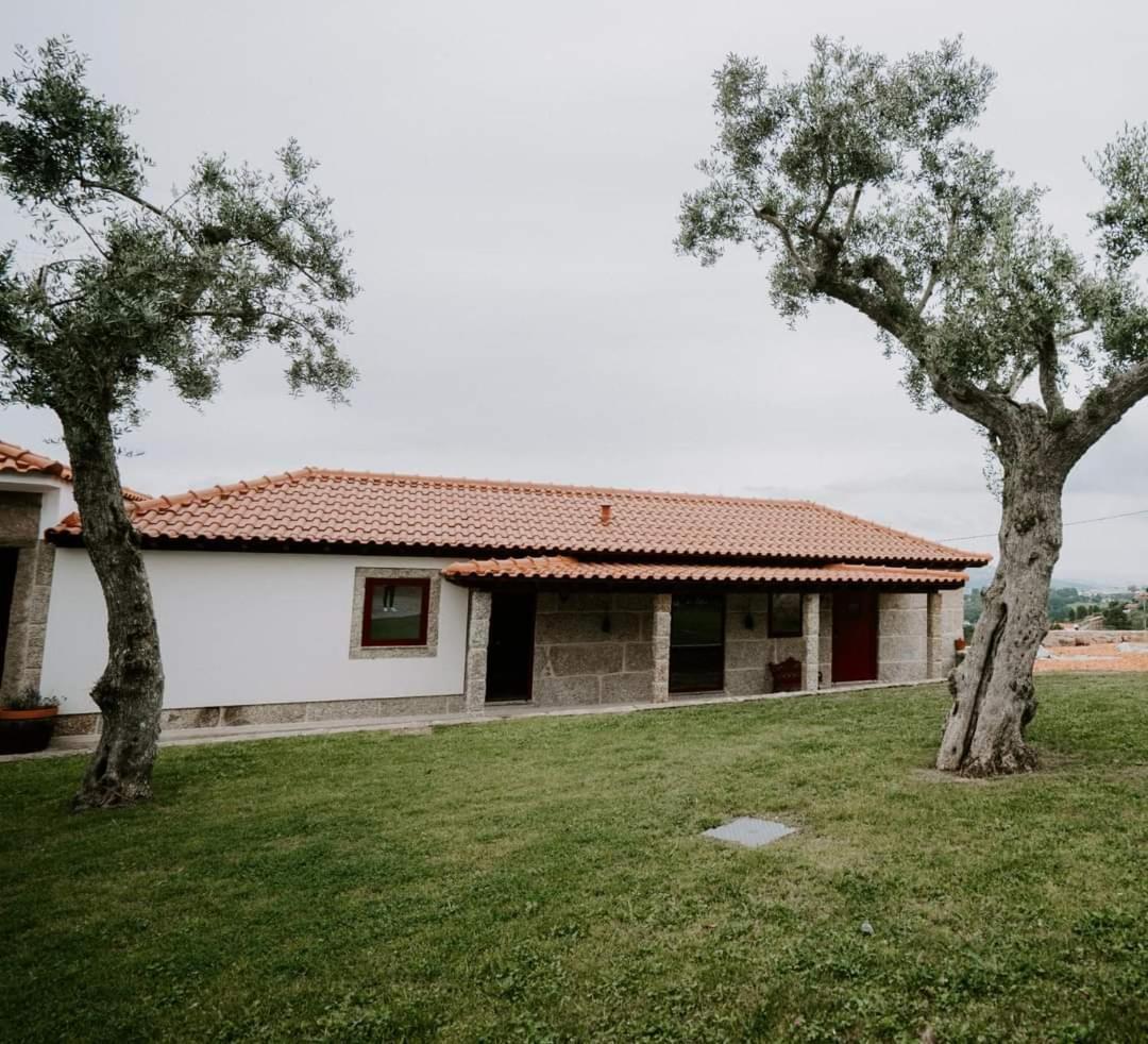 Penedo Village Marco de Canavezes Εξωτερικό φωτογραφία